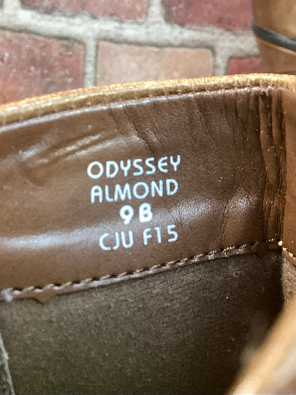 Earth Odyssey womens ankle boots size 9
